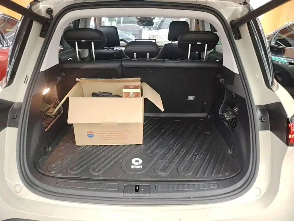 smart Elf #1 2025 2026 Model Smart Long Range Edition