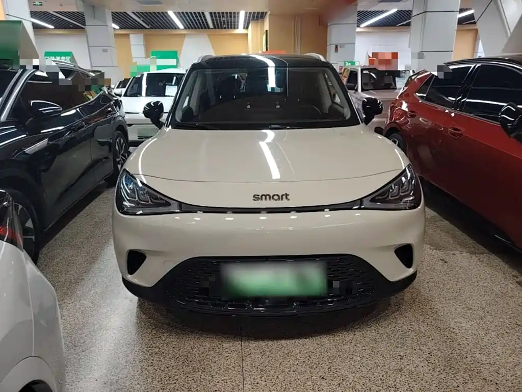 smart Elf #1 2025 2026 Model Smart Long Range Edition