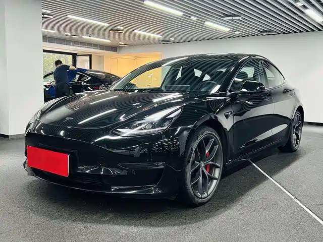 Tesla Model 3 Performance, высокопроизводительный полный привод