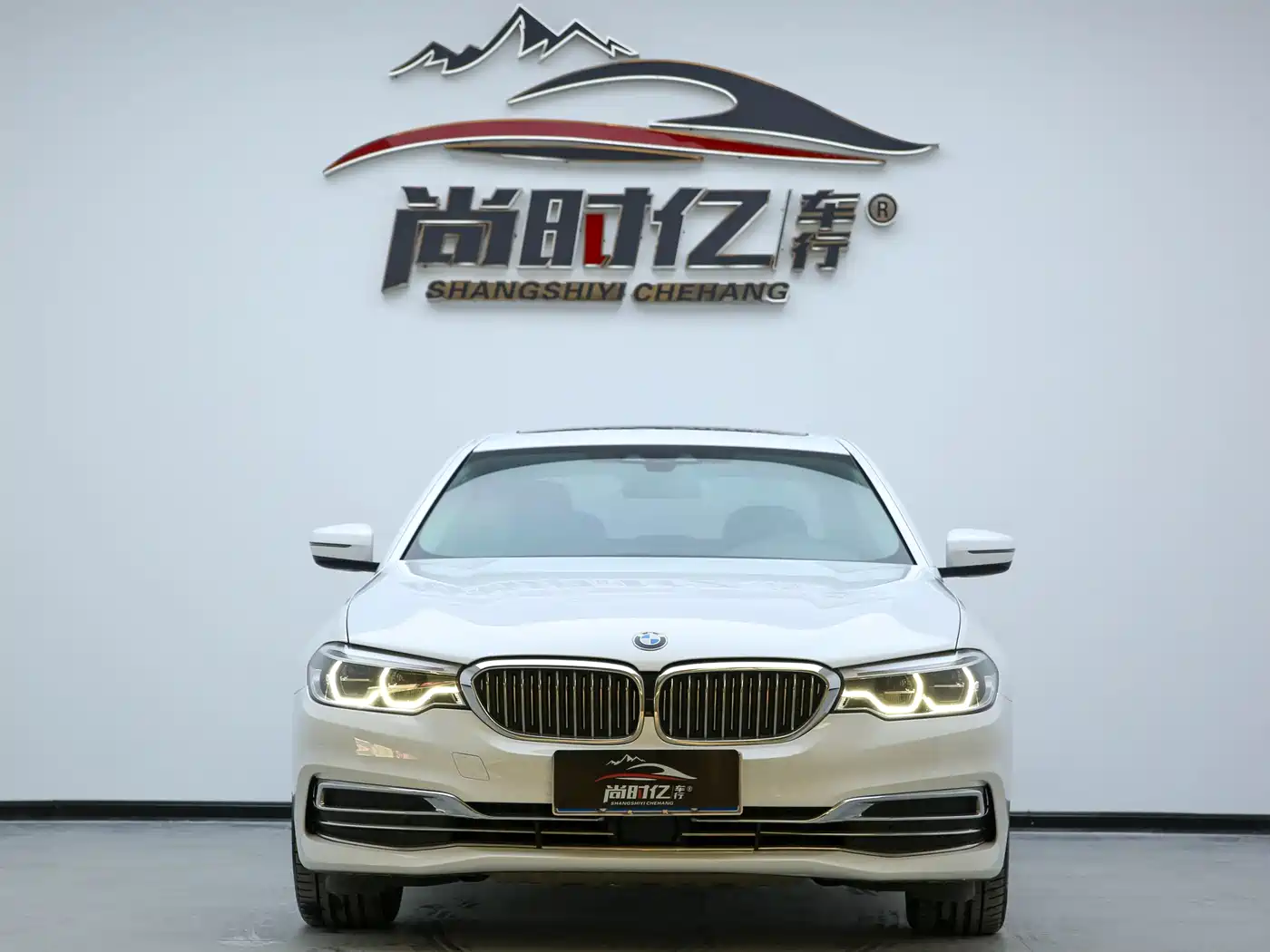 BMW 5 Series 2020 530Li Leading Luxury Package фото 3