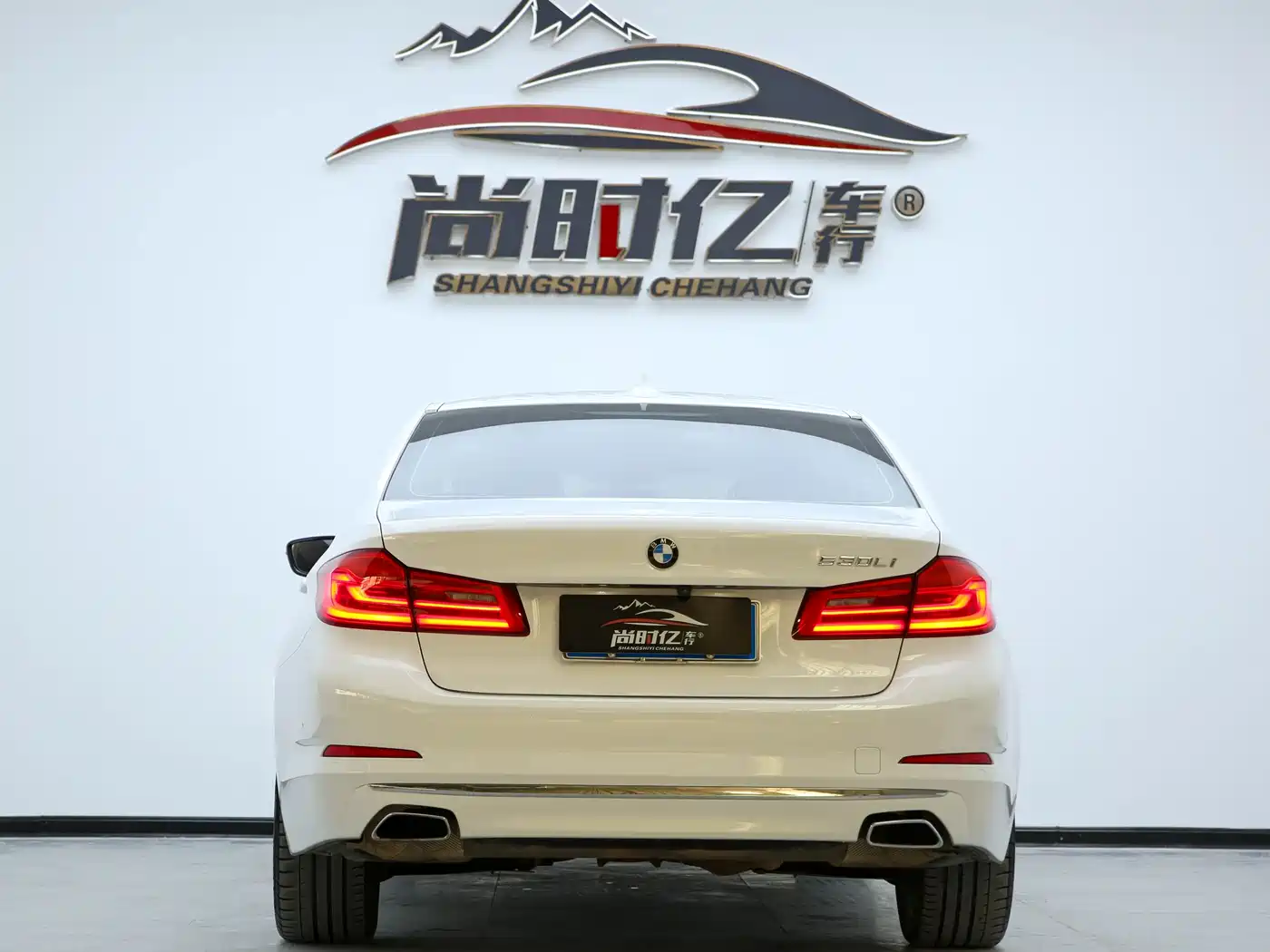 BMW 5 Series 2020 530Li Leading Luxury Package фото 30