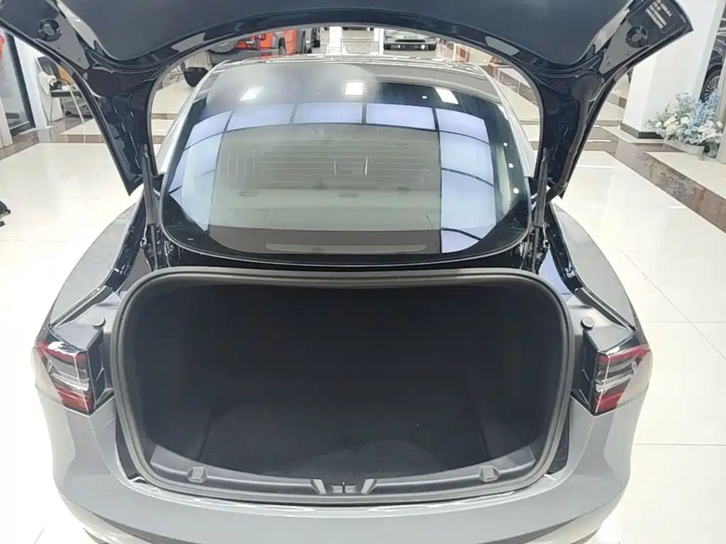 Tesla Model 3 2020 2019 Standard Range Rear-Wheel Drive Upgrade