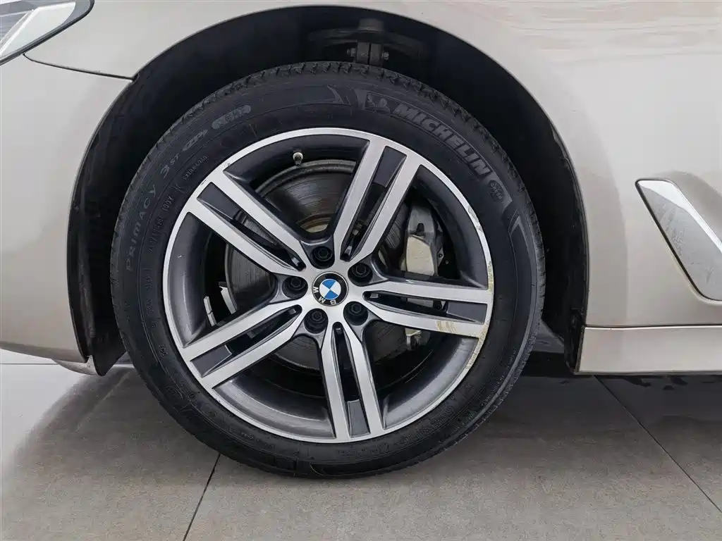 BMW 5 Series 2021 530Li Leading Luxury Package фото 17