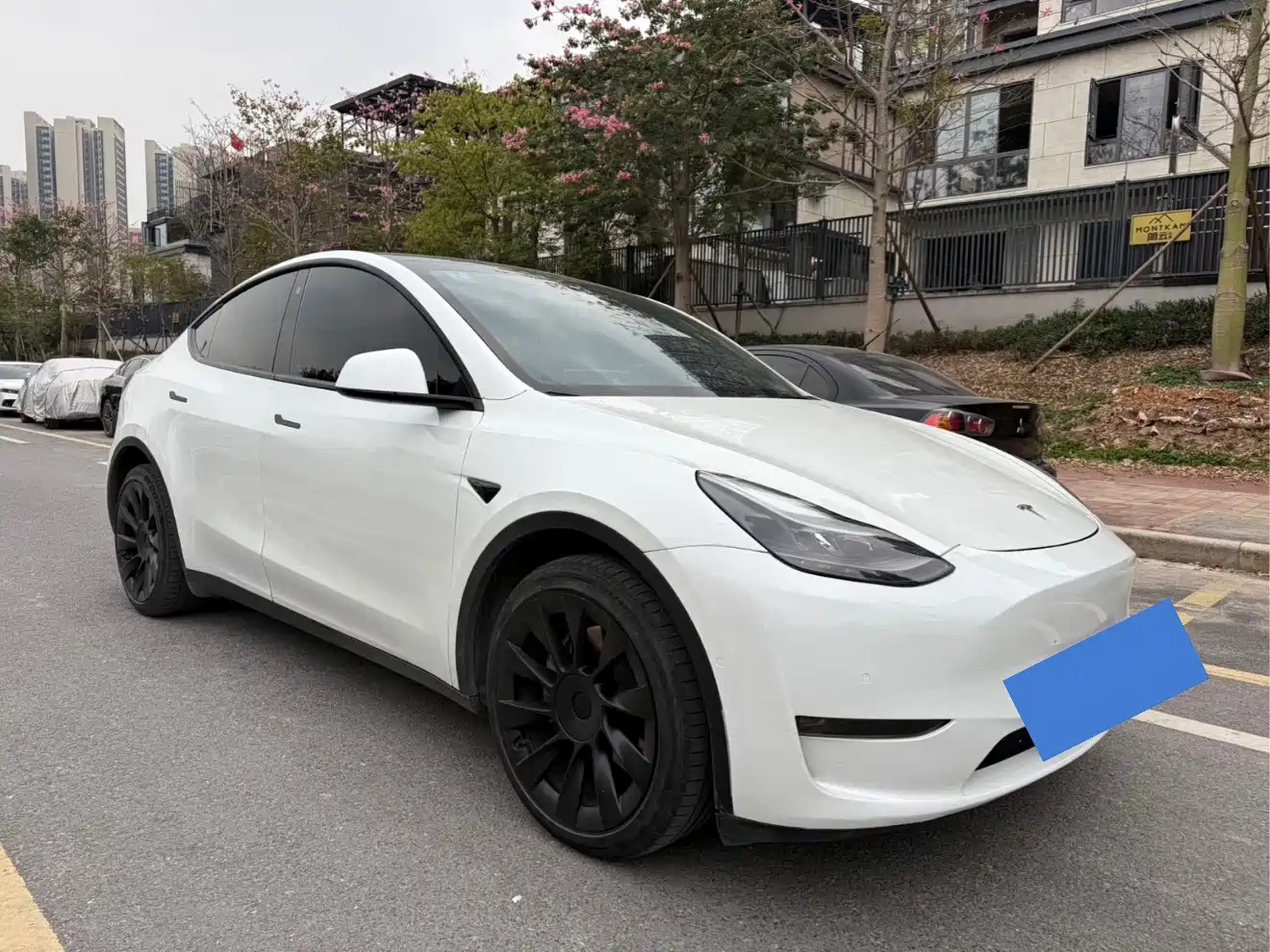 Фото 2 - Tesla Model Y