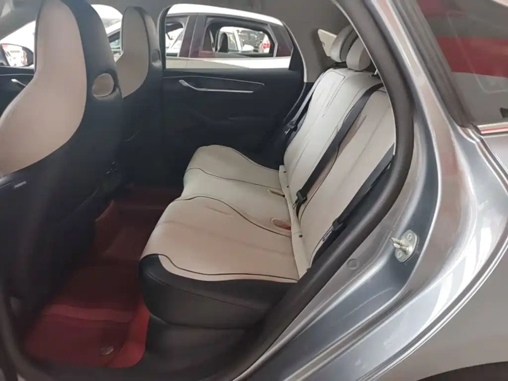 BYD Destroyer 05 2025 2024 Glory Edition DM-i 55KM Luxury
