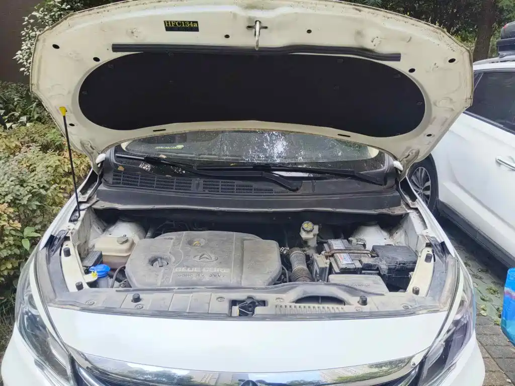 Changan Oshan Changan Oushang A800 2017 2017 Model 1.6L Manual Luxury