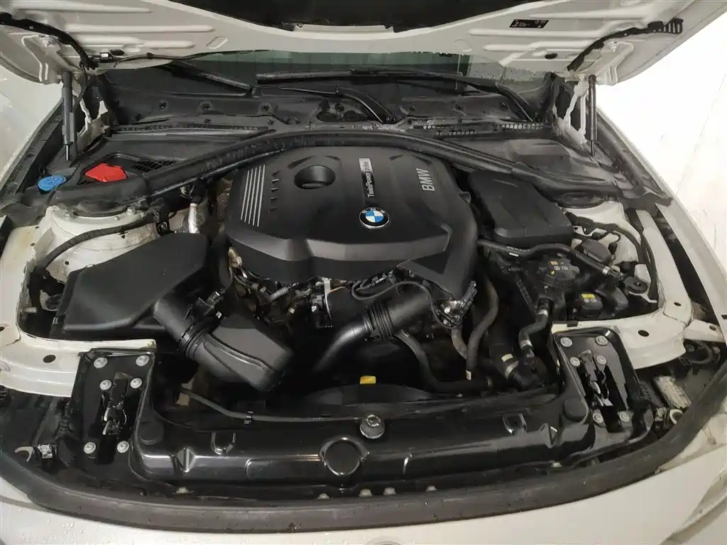 BMW 3 Series 2019 320Li Fashion Type фото 20