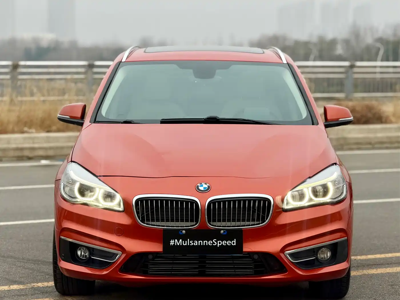 BMW 2 Series Touring 2016 220i Leading Model фото 2