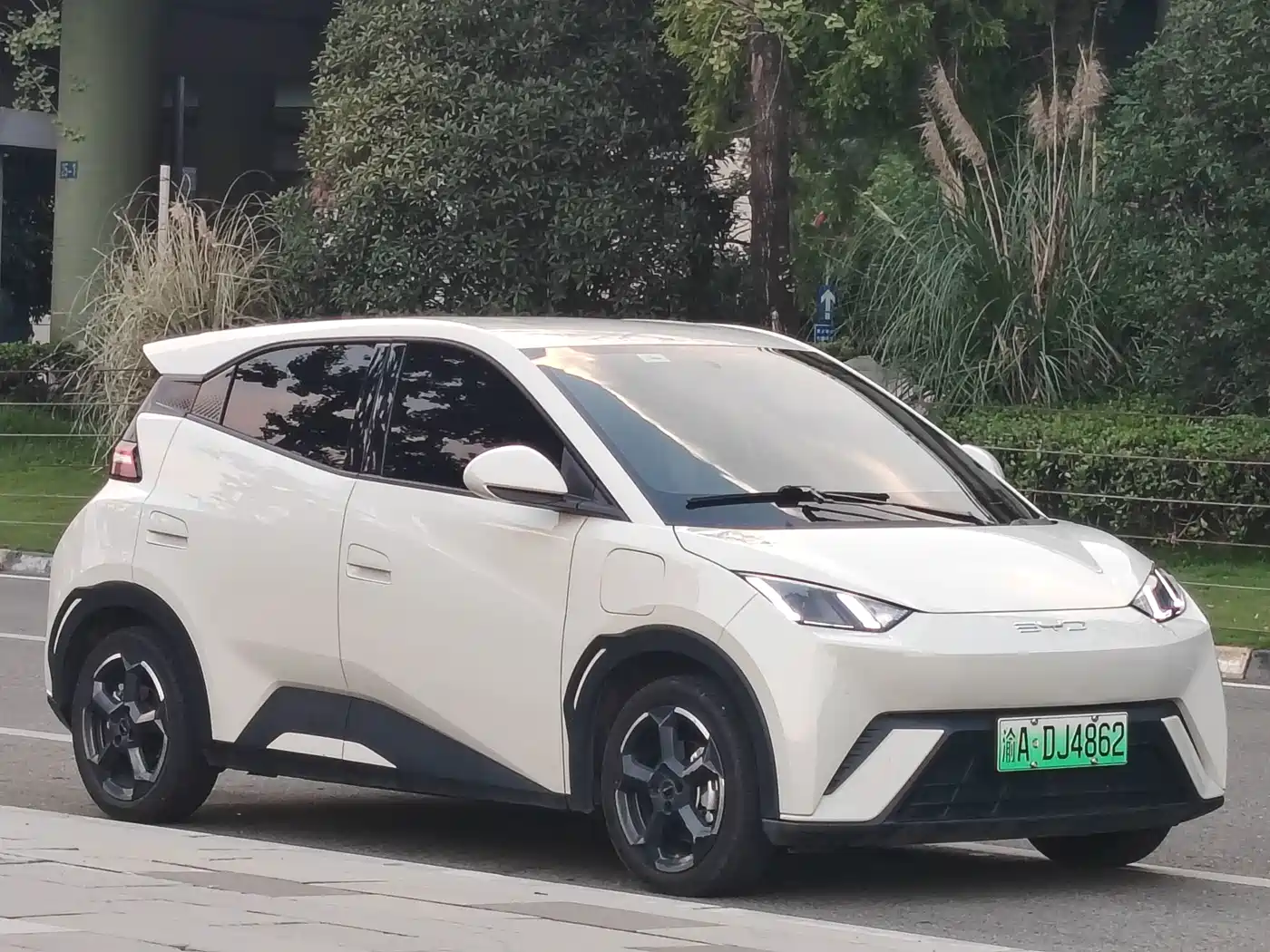 BYD Seagull 2023 2023 Freedom Edition