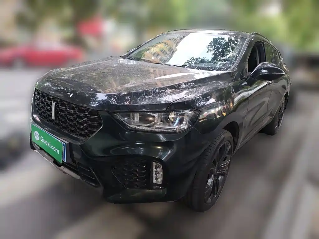 WEY VV5 2017 2017 2.0T Flagship Model