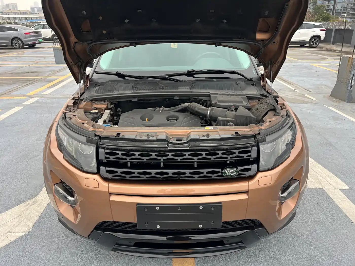 Land Rover Range Rover Evoque (Import) 2014 2.0T 5-door Limited Edition фото 18