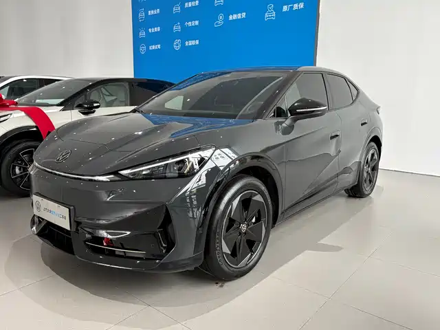 VOLKSWAGEN WITH THE CROWD 06