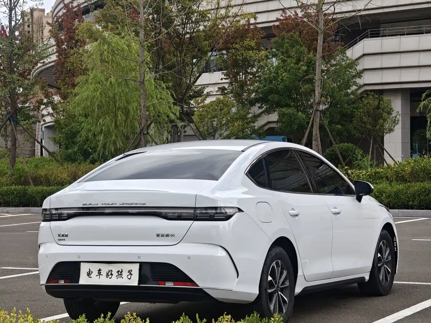 Photo 6 - BYD Destroyer 05