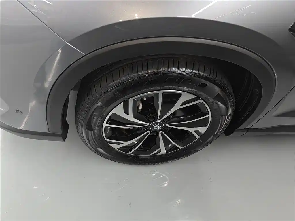 BYD Song Pro New Energy 2025 2nd Generation Smart Drive Edition DM-i 75KM Leading Type фото 25