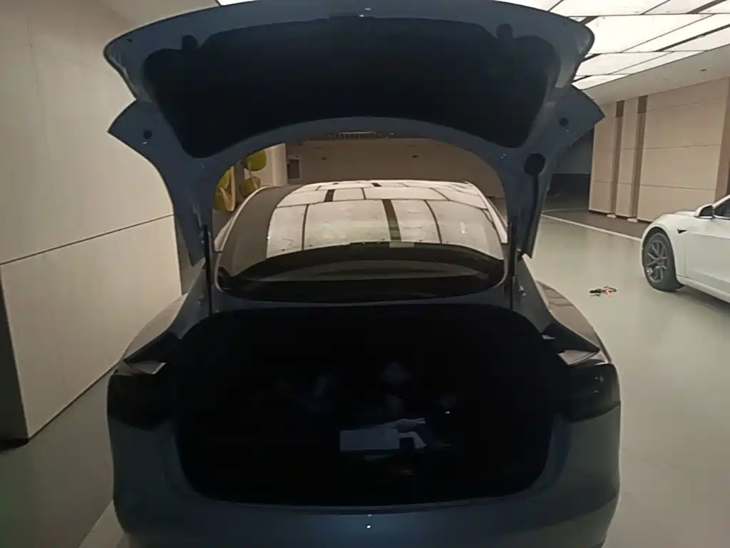 Tesla Model 3 (Import) 2019 2019 Long Range RWD Version