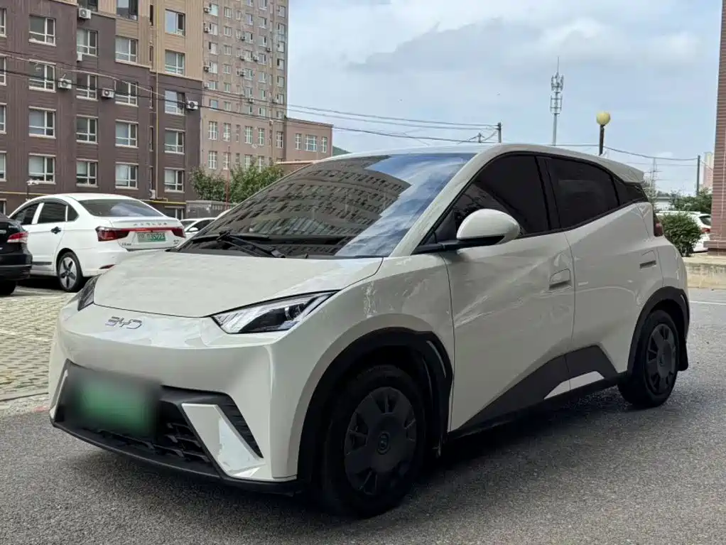 BYD Seagull 2024