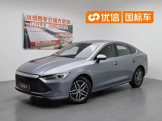 BYD Qin PLUS 2023 Champion Edition DM-i 120KM Excellence — фото 1