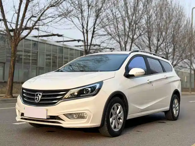 BAOJUN 310W