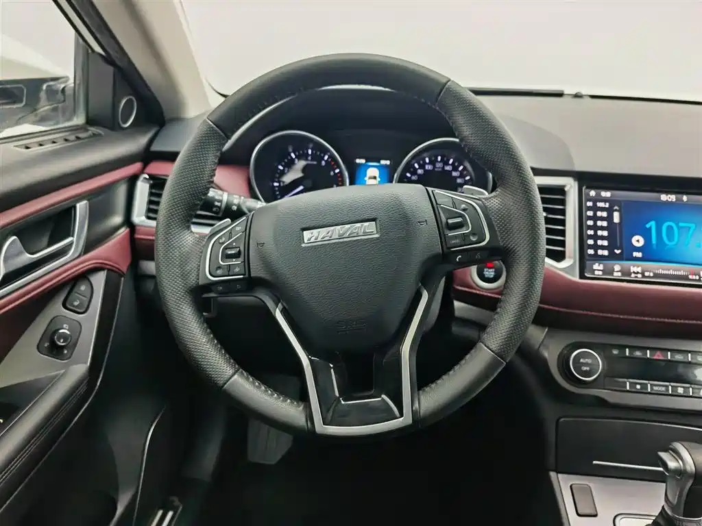 Haval H6 Coupe 2018 Red Label 1.5T Auto 2WD Ultra Luxury фото 11