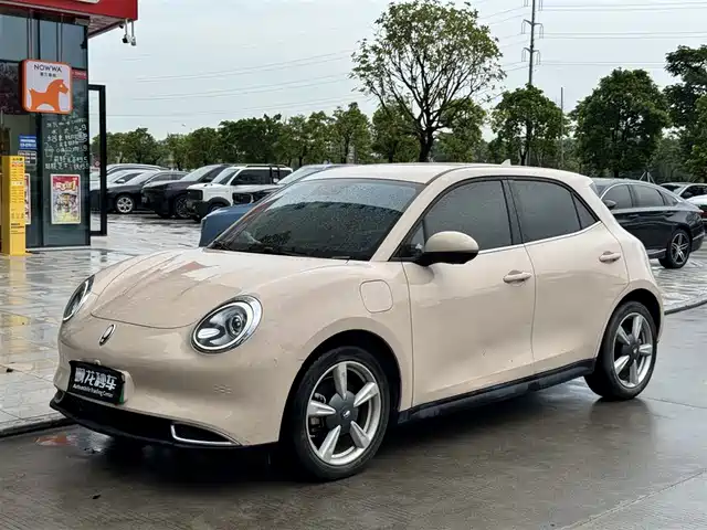  Ora Ora Good Cat 2022 Model Morandi Edition 400km Standard Range Luxury LFP