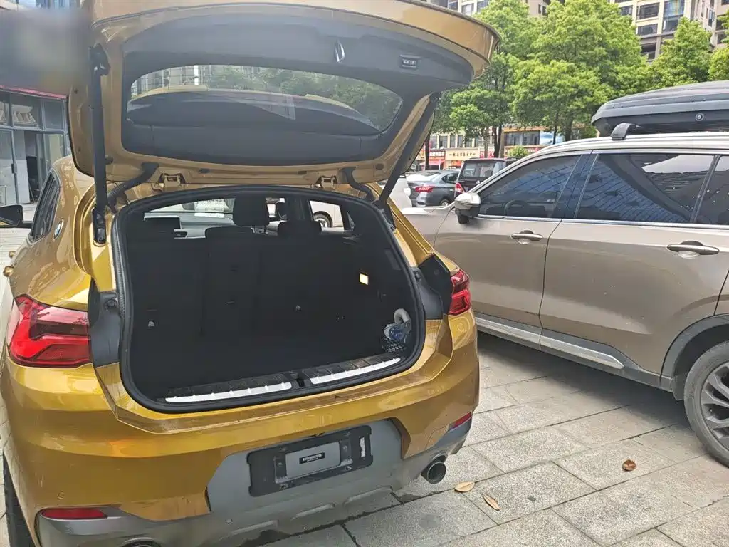 BMW X2 (Import) 2018 sDrive25i Exclusive M Off-Road Package China V фото 19