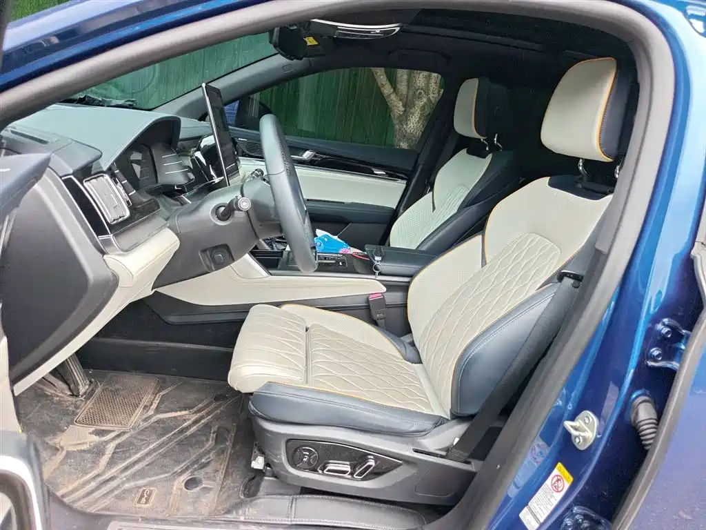 BYD Tang New Energy 2022 EV 635KM AWD Flagship фото 8