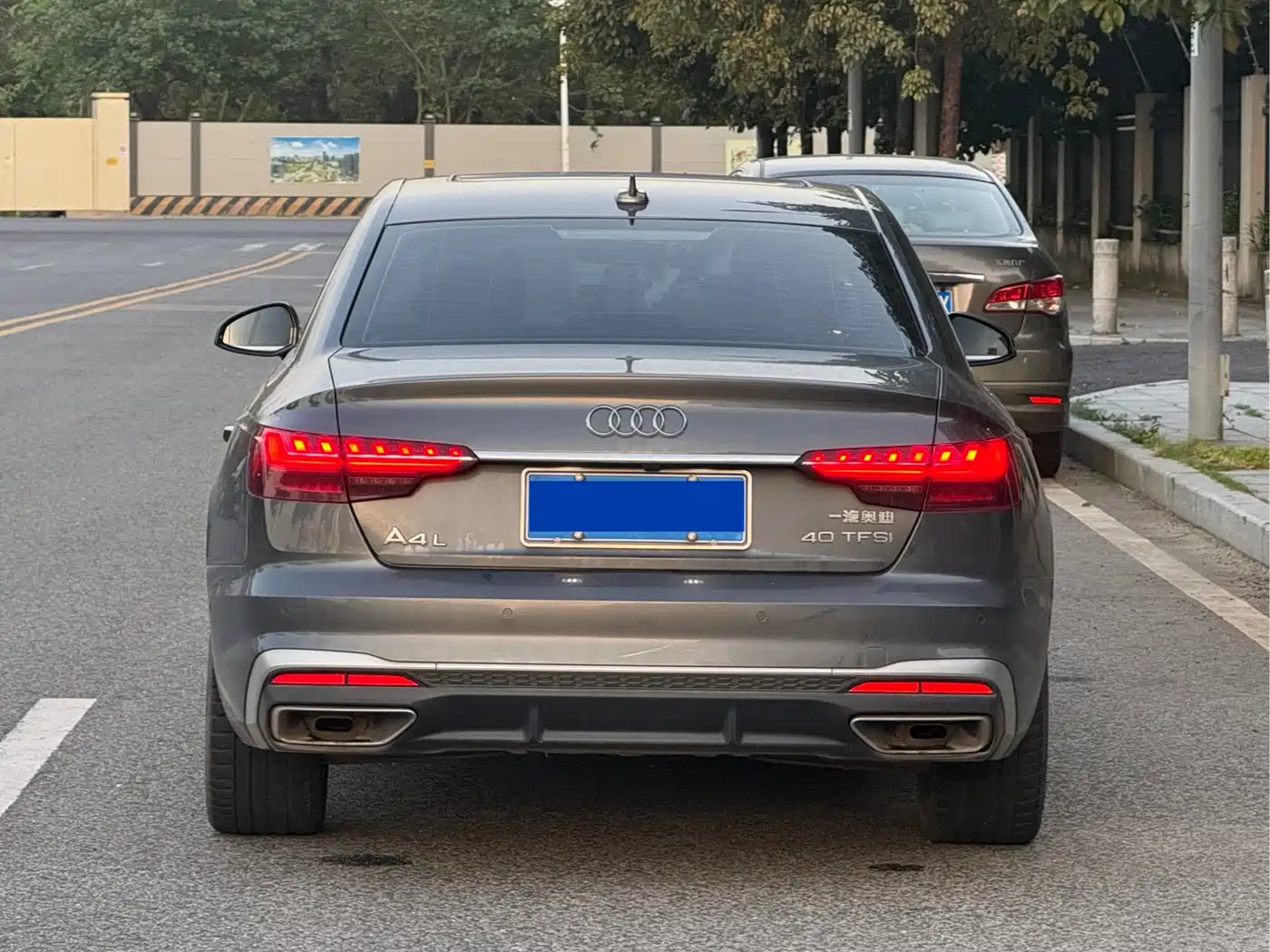 Audi A4L 2021 40 TFSI Premium Life Edition фото 3