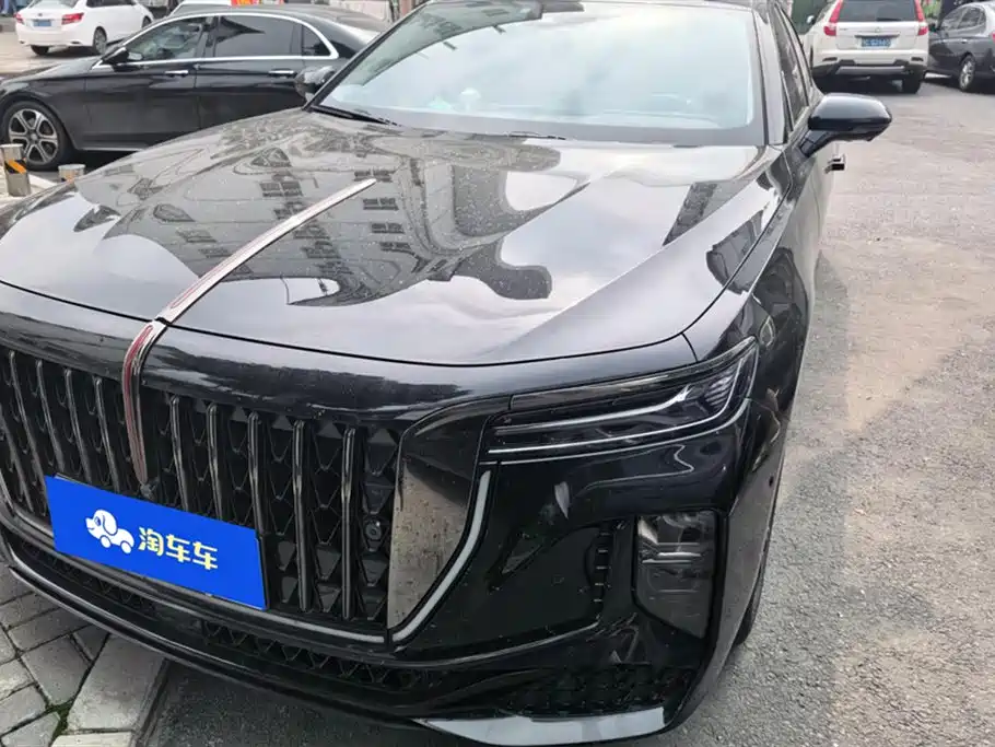 Hongqi H9 2024 2.0T Qi Chang Private Fashion Edition