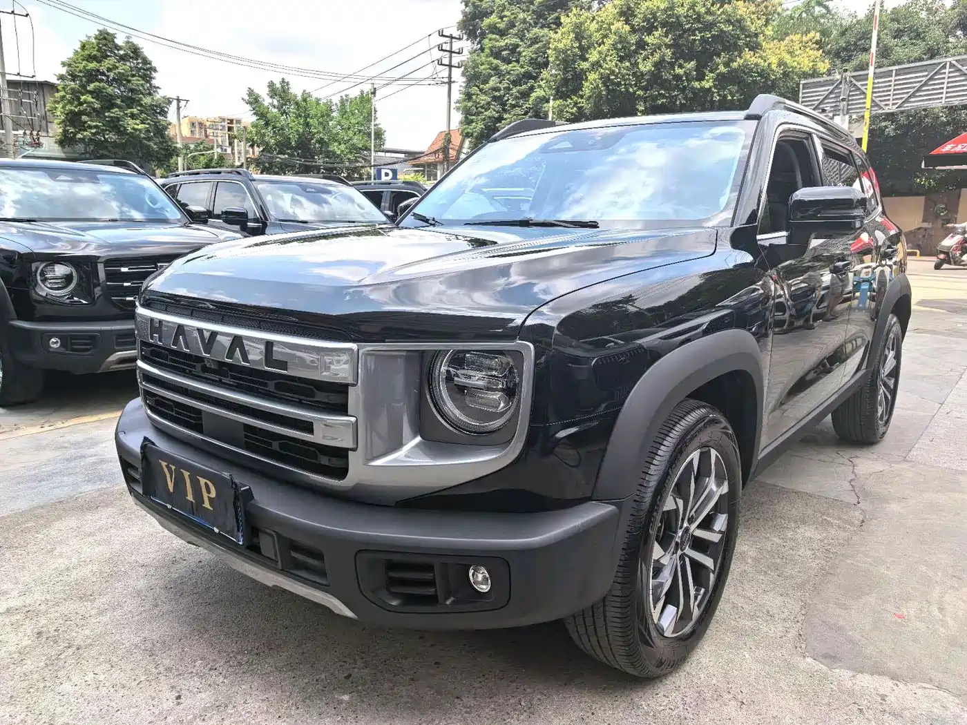 Haval Big Dog 2024 1.5T DCT Border Collie Edition