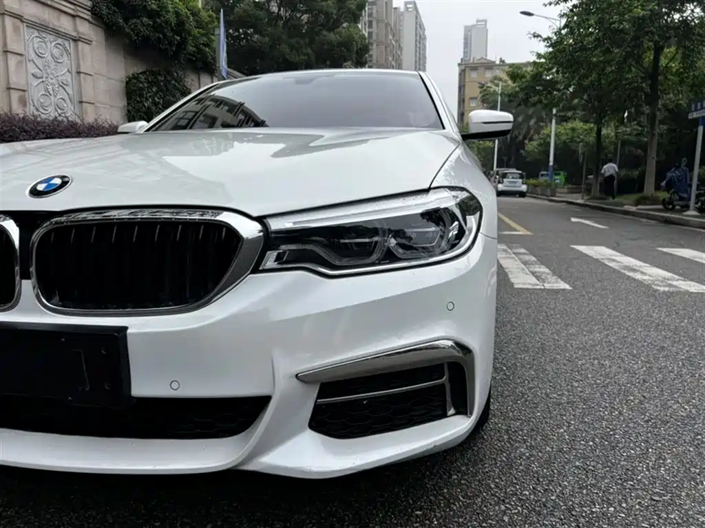 BMW 5 Series 2020 530Li Leading M Sport Package фото 16