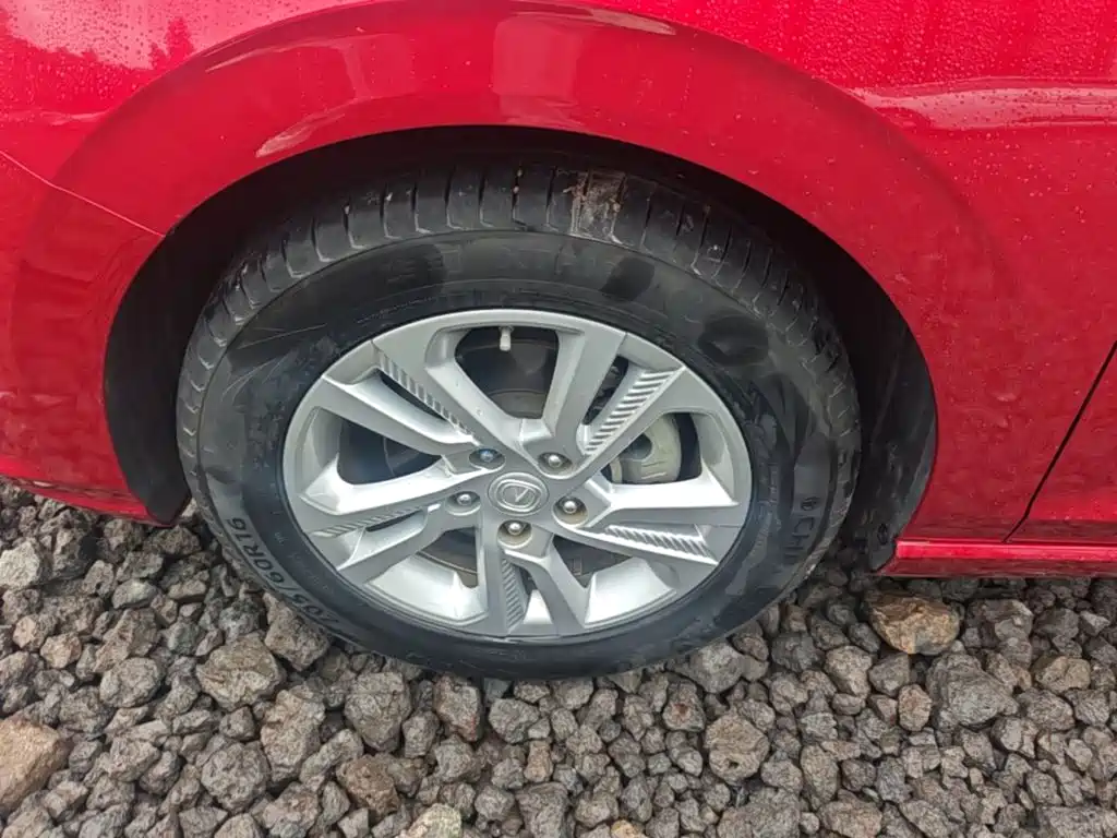 Photo 23 - Changan Eado