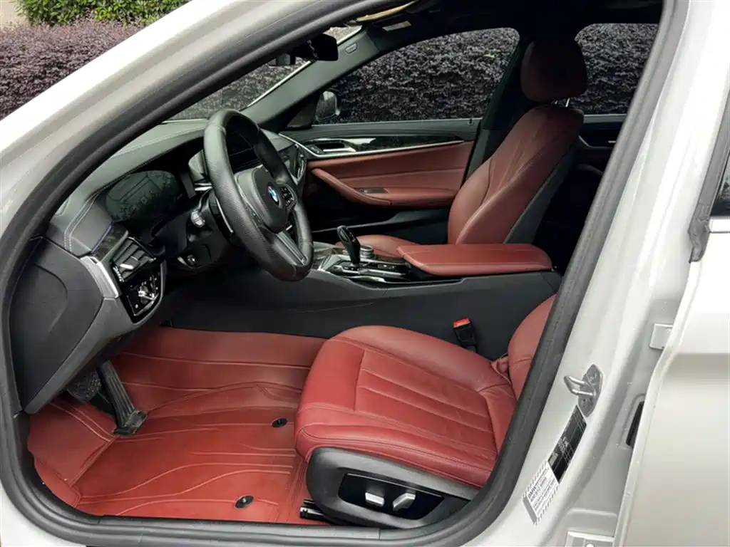 BMW 5 Series 2020 530Li Leading M Sport Package фото 23
