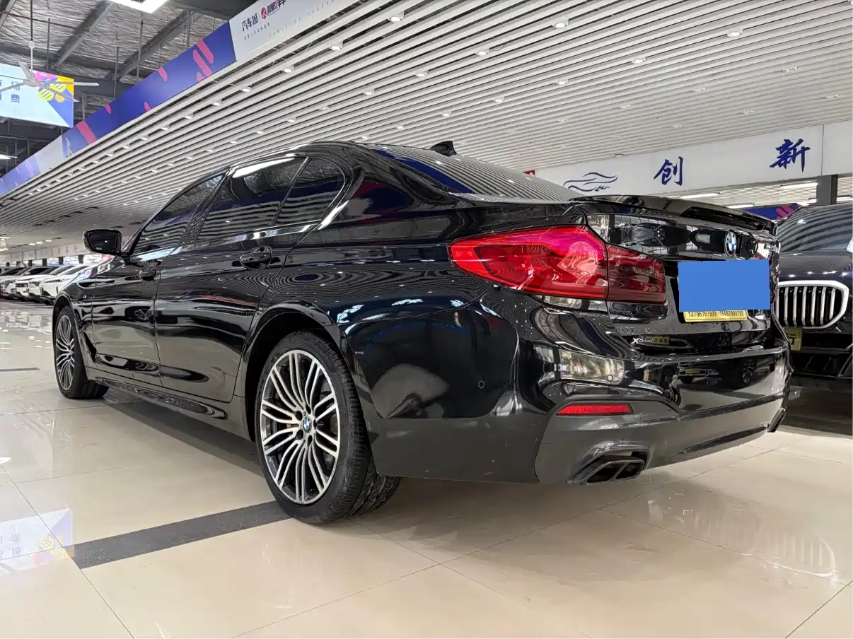 BMW 5 Series 2019 530Li Leading M Sport Package фото 3