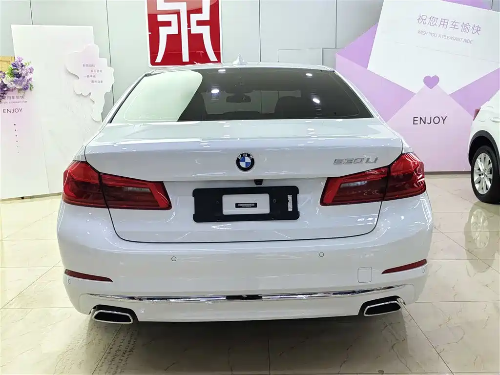 BMW 5 Series 2019 530Li Leading Luxury Package фото 5