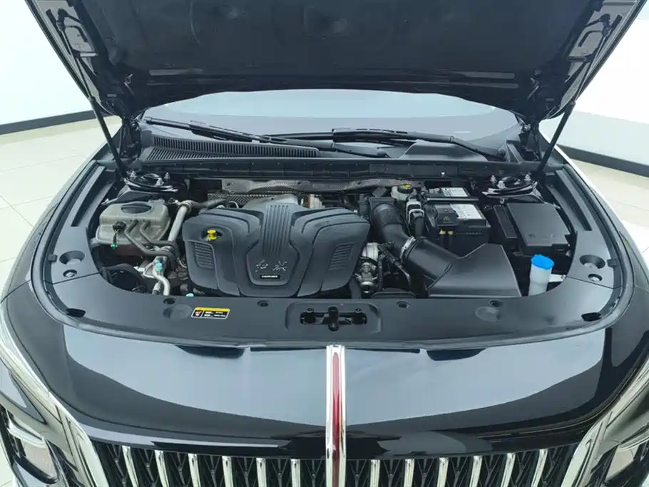 Hongqi H5 2024 2.0T Automatic Smart Connect Flag Smooth Edition фото 10