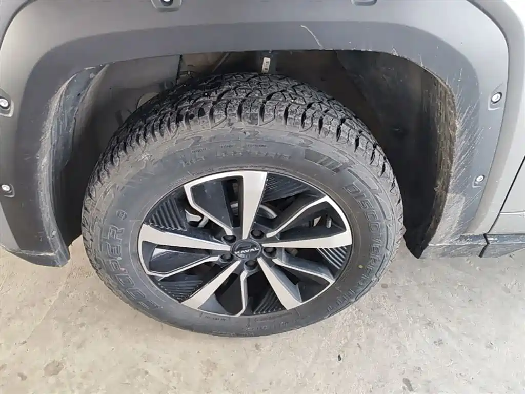 Haval Da Gou 2nd Gen 2023 2.0T AWD Wild Adventure Plus фото 21
