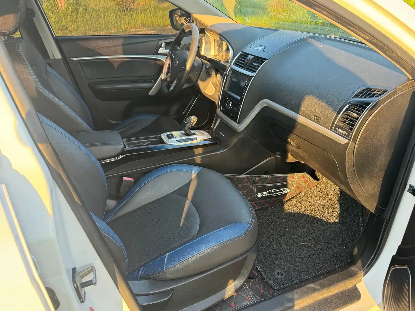 Geely Emgrand New Energy 2018 2017 EV300 Elite