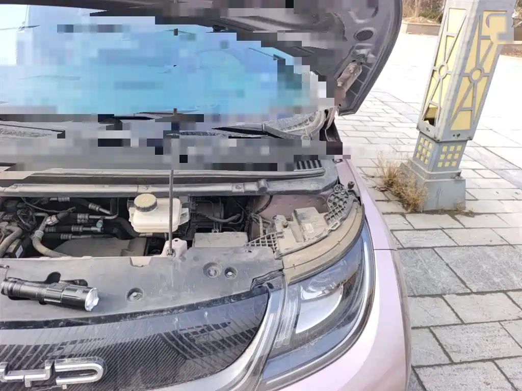 BYD Dolphin 2023 401km Knight Edition фото 21