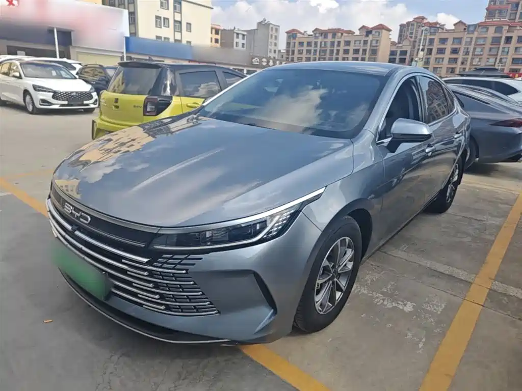 BYD Destroyer 05 2024 Glory Edition DM-i 55KM Luxury