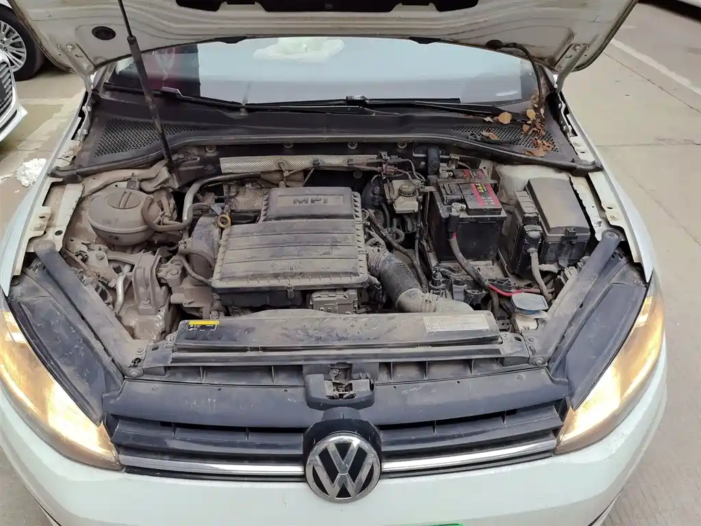 Volkswagen Golf 2018 1.6L Automatic Fashion фото 16