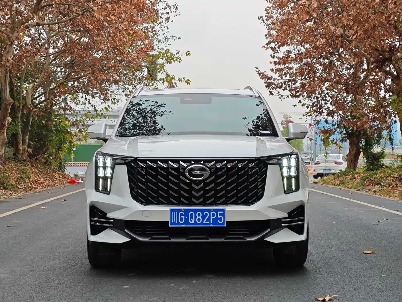 GAC TRUMPCHI GS8
