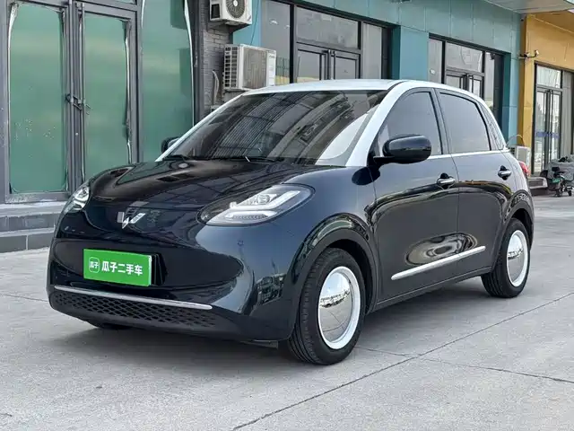  Wuling Motors Wuling Bingo 2023 203km Comfort Version
