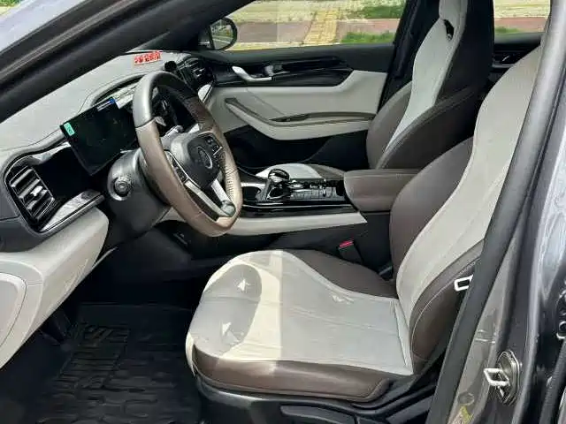 BYD Qin PLUS 2024 Glory Edition DM-i 55KM Leading фото 4