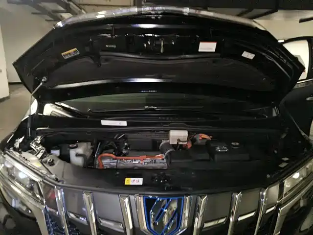 Toyota Alphard 2020 Hybrid 2.5L Luxury Edition — фото 3