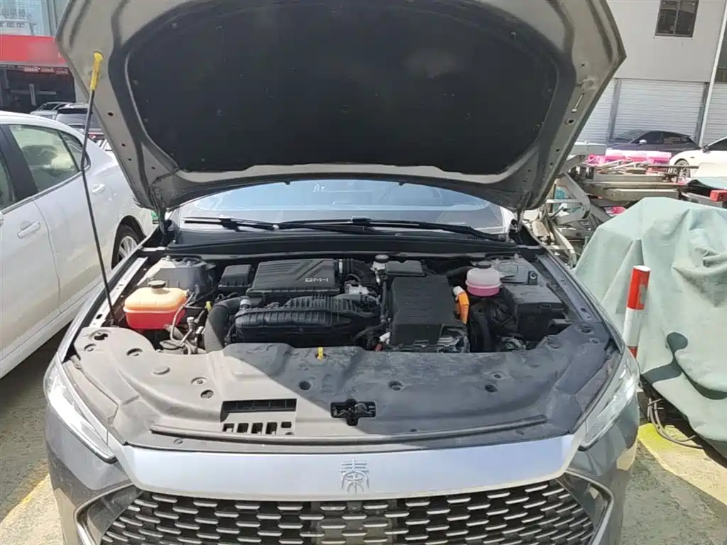 BYD Qin PLUS 2023 Champion Edition DM-i 120KM Excellence фото 19