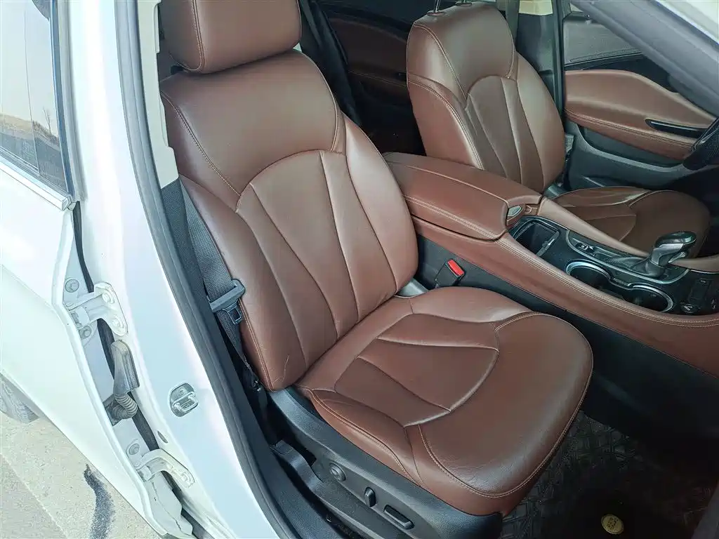Buick Envision Plus 2018 20T 2WD Luxury фото 20