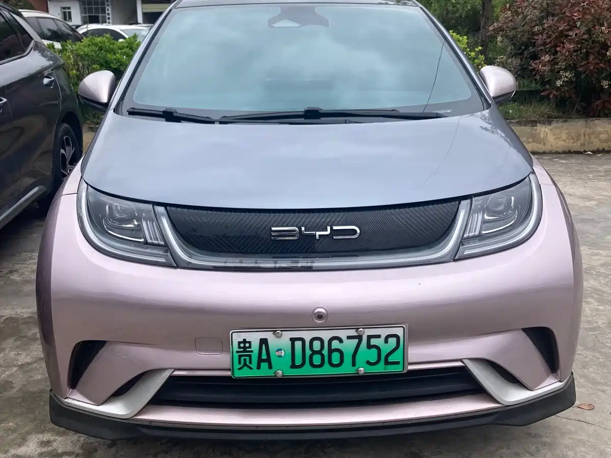 BYD Dolphin 2023 401km Knight Edition