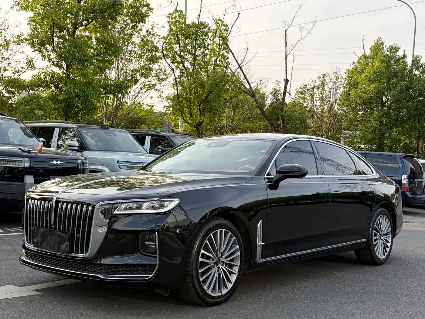 Hongqi H9 2020 2.0T Smart Connection Qi Xiang Edition