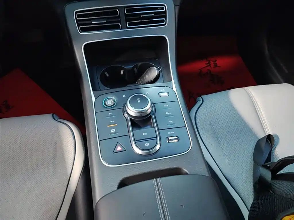 BYD Destroyer 05 2023 Model Champion Edition DM-i 120KM Luxury фото 10