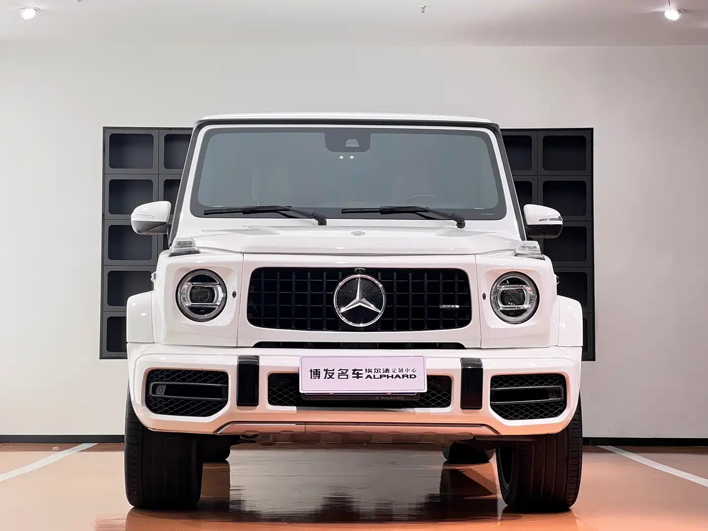 Mercedes-Benz G-Class 2019 G 500 фото 2